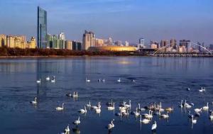 三門(mén)峽又一網(wǎng)紅景點(diǎn)，確定不來(lái)pick一下？