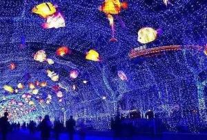 【三門(mén)峽國(guó)際光影藝術(shù)節(jié)】家門(mén)口的雜技表演和燈光秀，精彩不容錯(cuò)過(guò)！